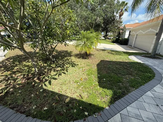 a view of a yard with plants