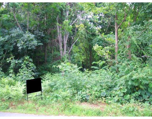 Lot 2 Randall Road Berlin, MA 01503 - Photo 1 of 4