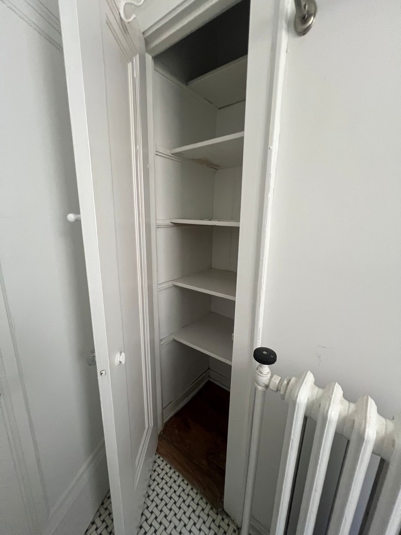 1112 Grove Street, Unit 2B Evanston, IL 60201 - Photo 18 of 21 a view of a walk in closet