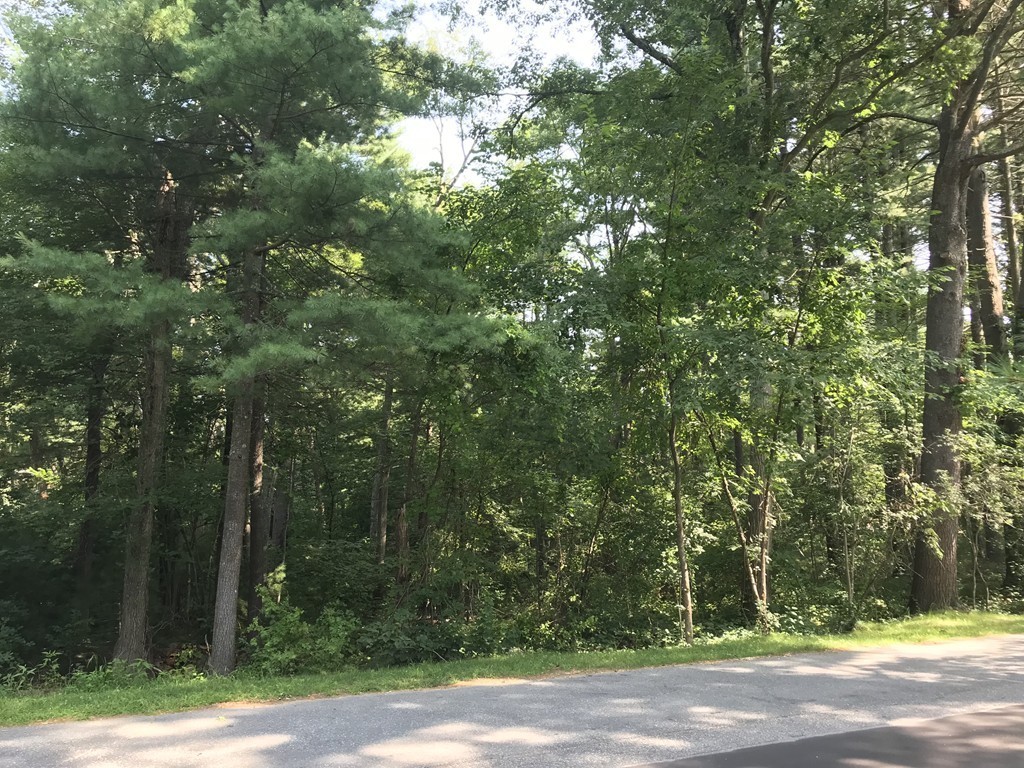 0 Conant Road Weston, MA 02493 - Photo 2 of 3