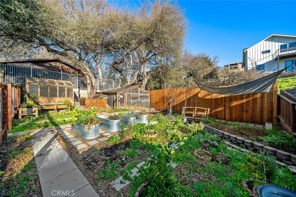 273 Pacific Avenue Paso Robles, CA 93446 - Photo 26 of 32 a view of a yard with plants and large trees