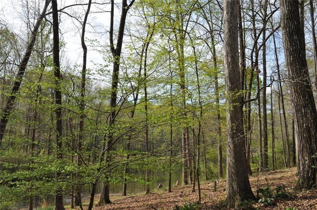 731 Hidden Lakes Trail Jefferson, GA 30549 - Photo 64 of 66