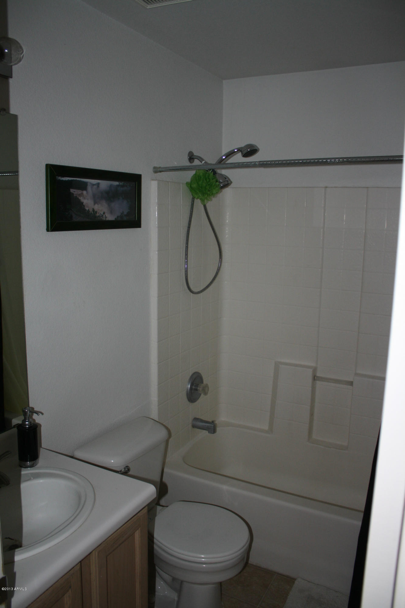 2010 West Renaissance Avenue Apache Junction, AZ 85120 - Photo 11 of 13 Bathroom 2