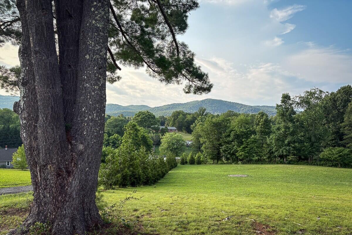1125 Loyds Store Road Vinton, VA 24179 - Photo 4 of 119 4