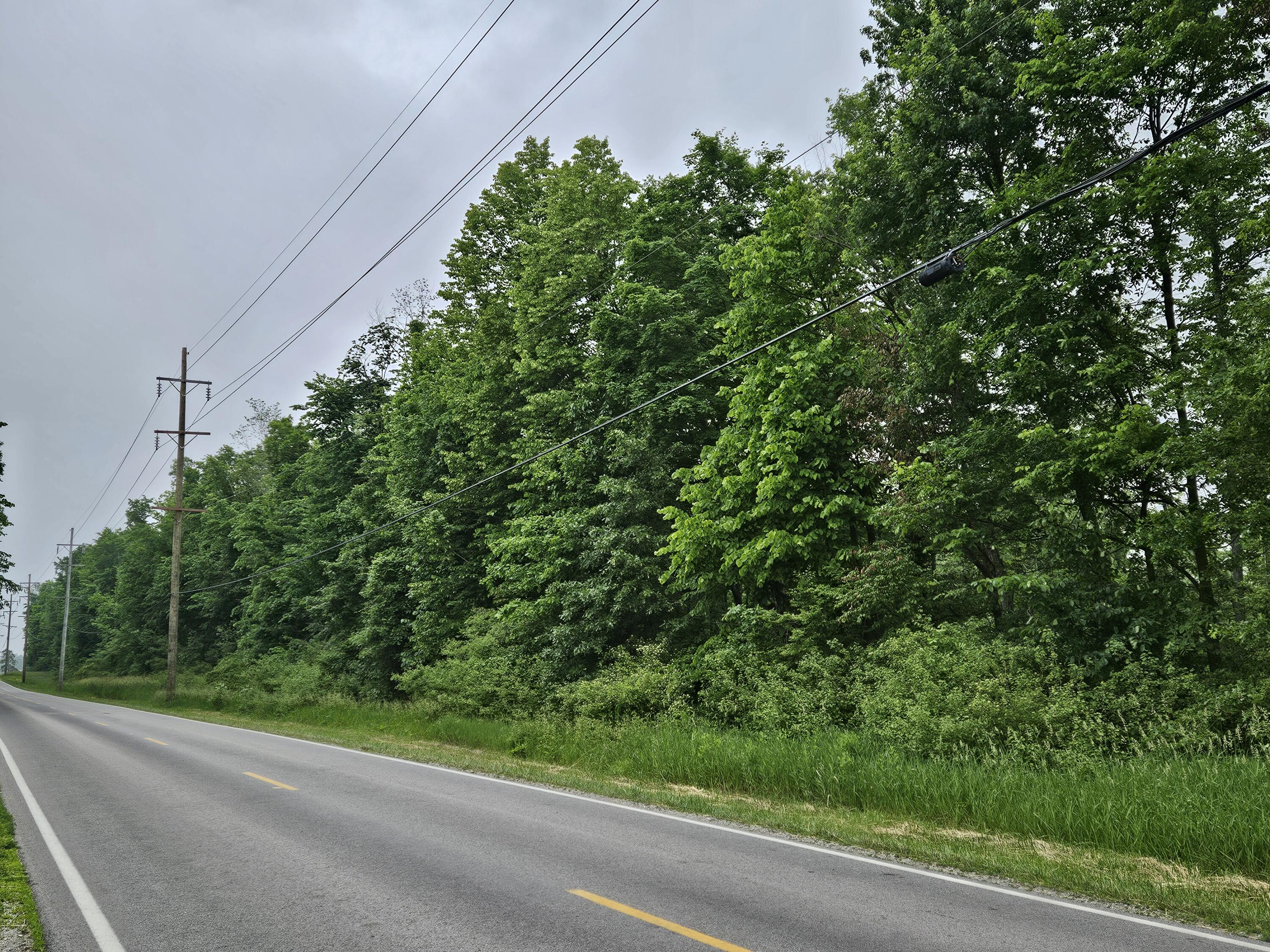 0 Botkins Road Jackson Center, OH 45334 - Photo 7 of 10