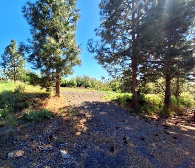 a view of dirt yard with a tree