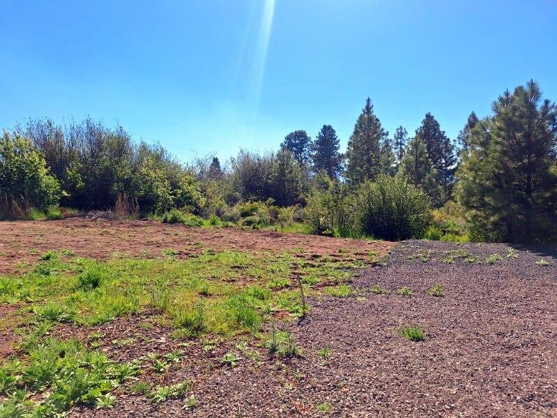 Shoreview Drive Chiloquin, OR 97624 - Photo 3 of 15 a view of a yard with a tree