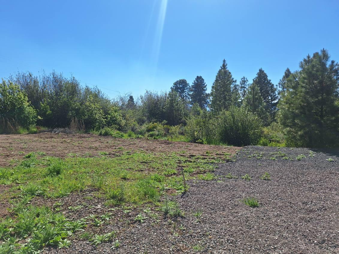 Shoreview Drive Chiloquin, OR 97624 - Photo 4 of 15 a view of a yard with a tree