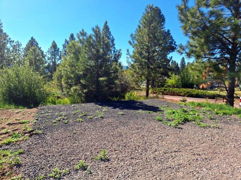 Shoreview Drive Chiloquin, OR 97624 - Photo 5 of 15 a view of a yard with a tree