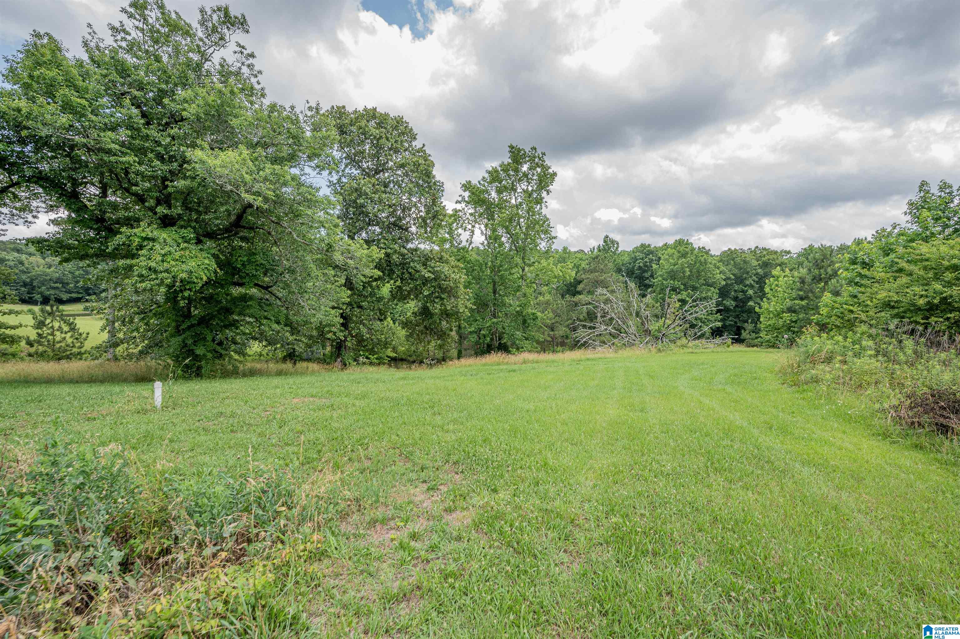 7900 Pine Mountain Road Springville, AL 35146 - Photo 29 of 30