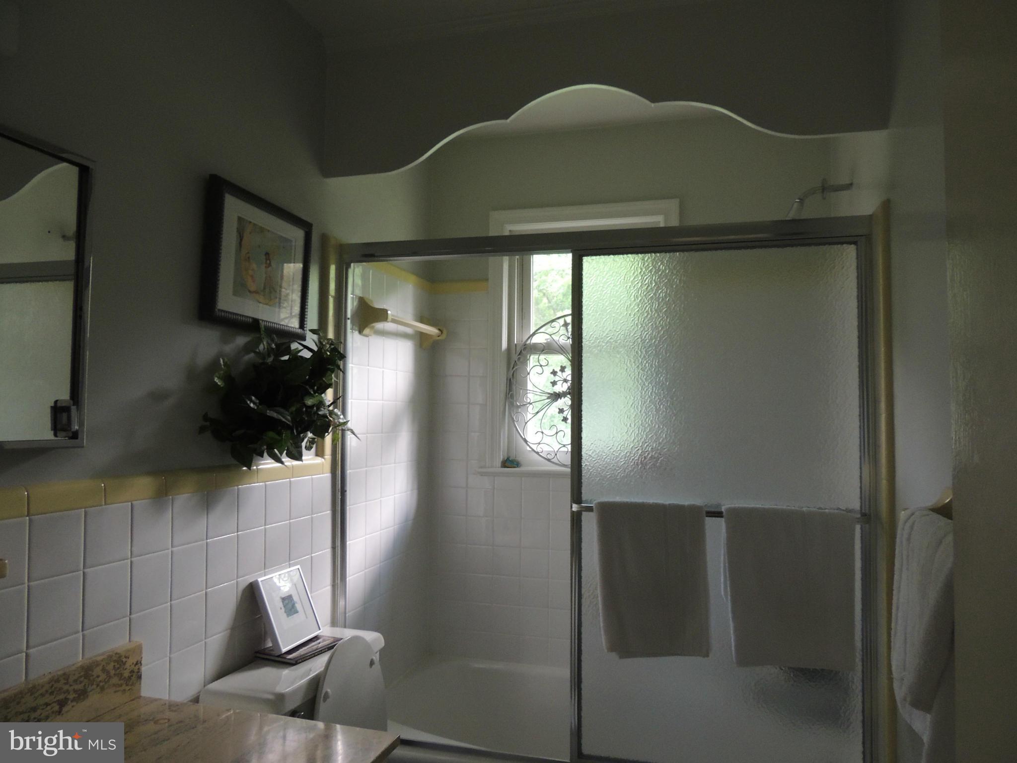 321 Norwood Road Silver Spring, MD 20905 - Photo 24 of 29 Bath (Master)