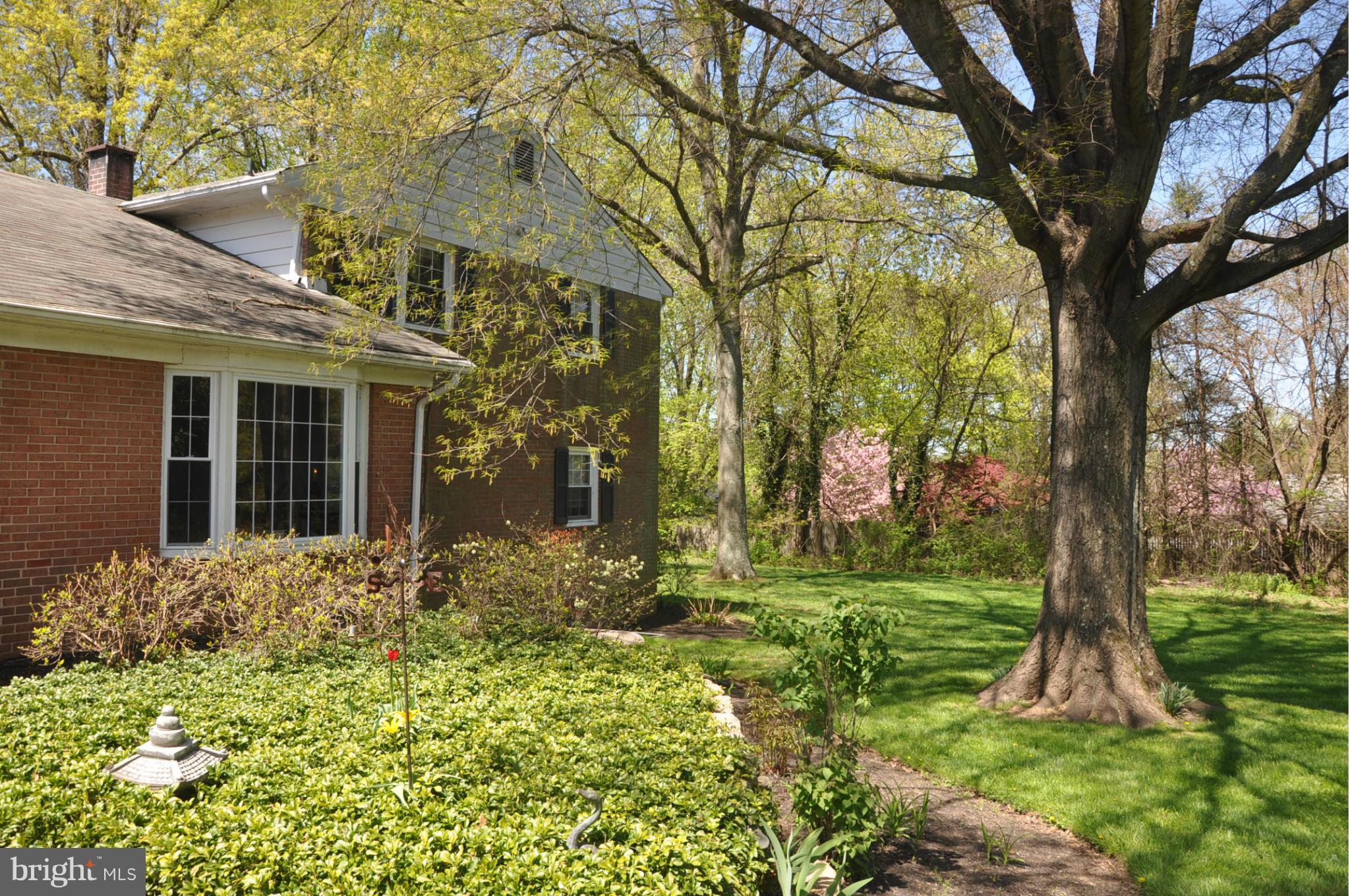 321 Norwood Road Silver Spring, MD 20905 - Photo 6 of 29 Exterior (Rear)