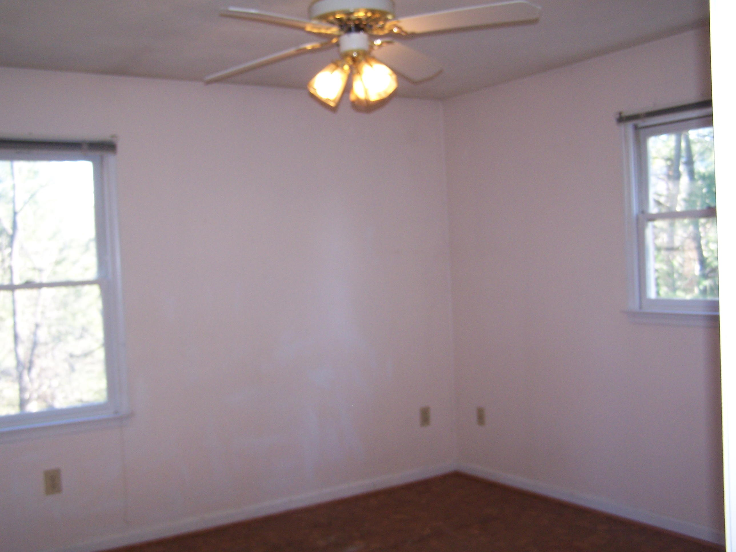 164 Fields Avenue Blue Ridge, VA 24064 - Photo 13 of 22 an empty room with windows and chandelier fan