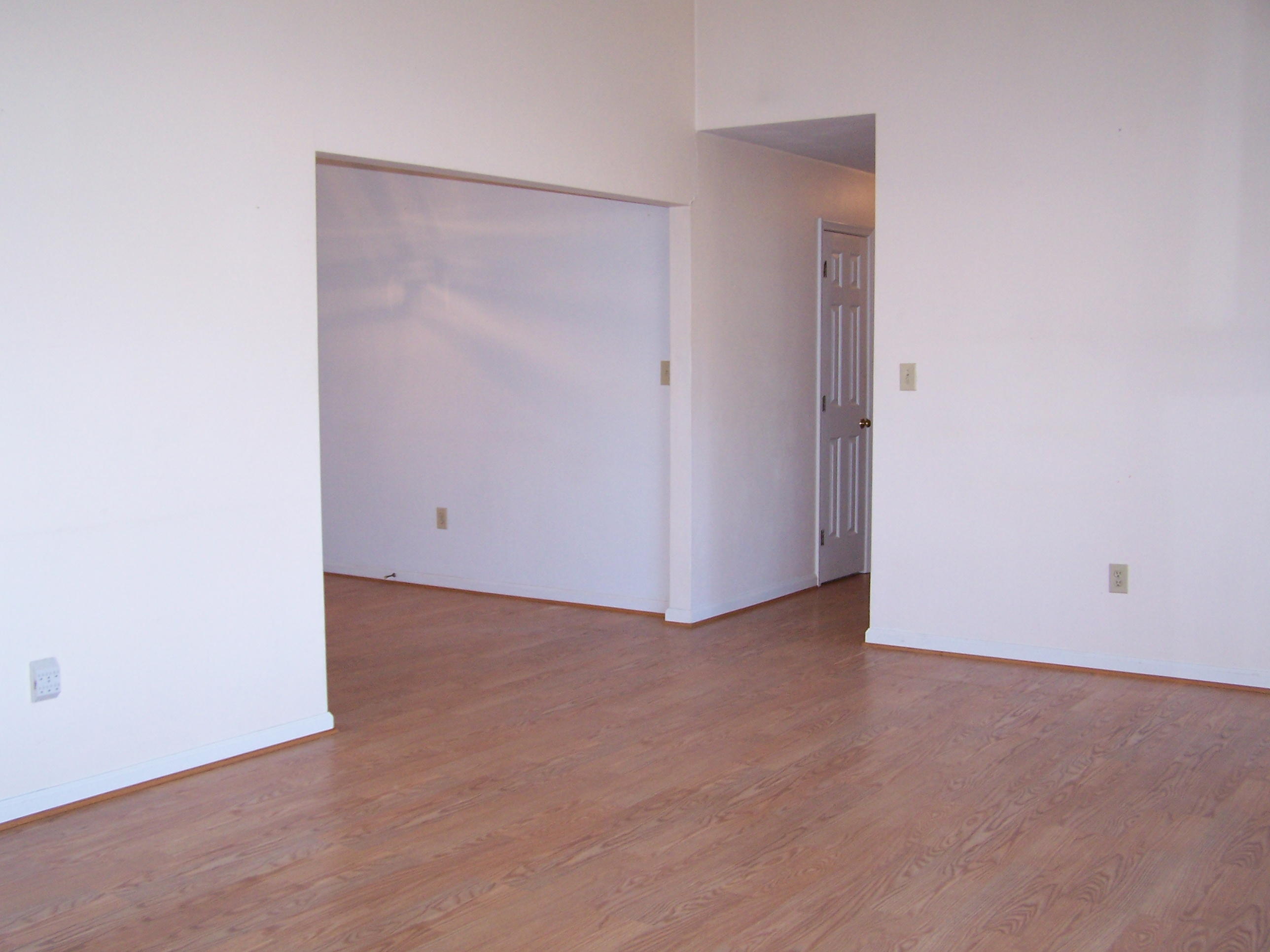 164 Fields Avenue Blue Ridge, VA 24064 - Photo 4 of 22 an empty room with closet and wooden door