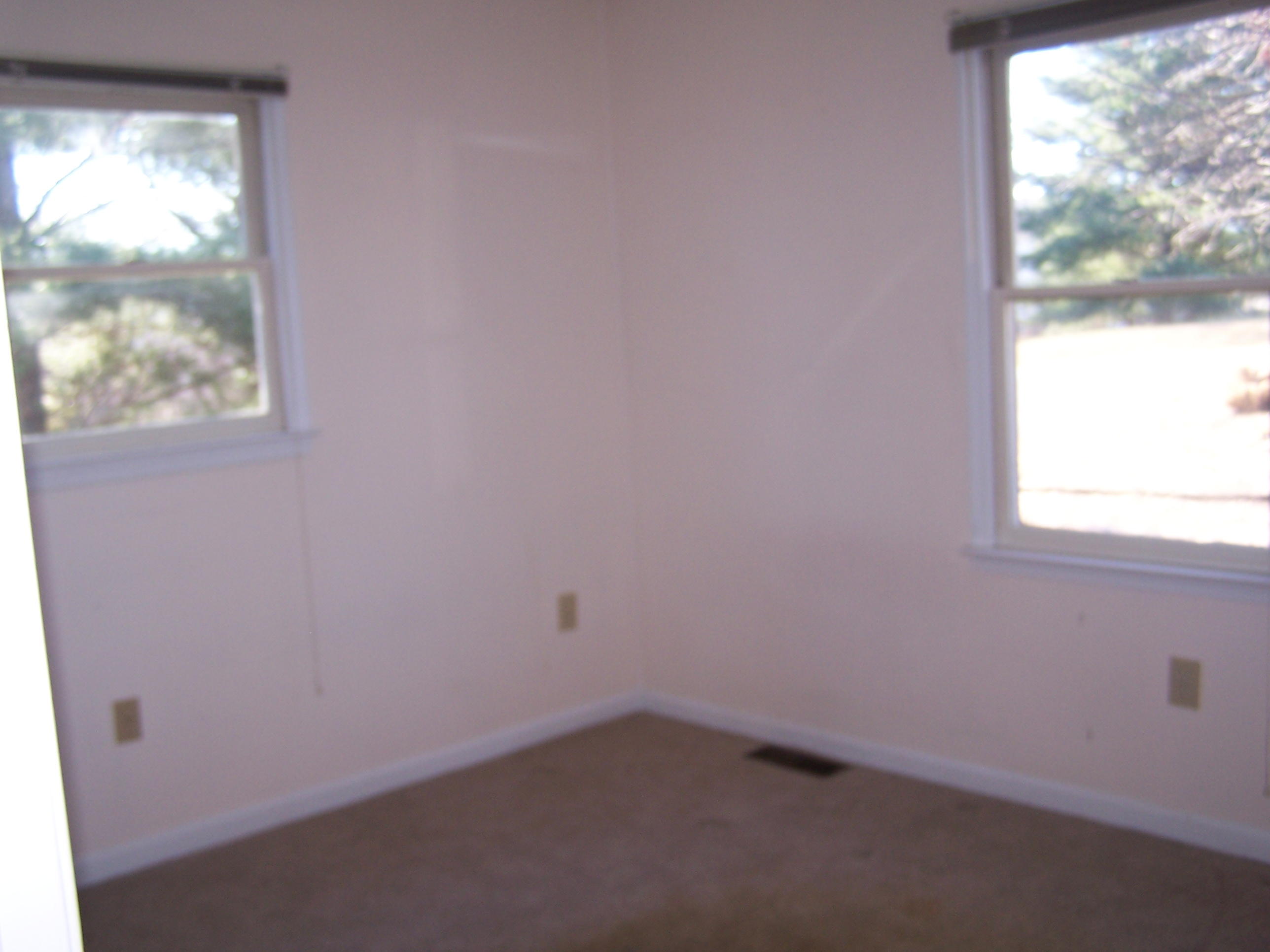 164 Fields Avenue Blue Ridge, VA 24064 - Photo 10 of 22 a room that has a window