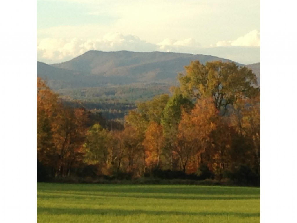 Tbd Cote Hill Road, Unit 4 Morristown, VT 05661 - Photo 8 of 13 Gallery Image 8