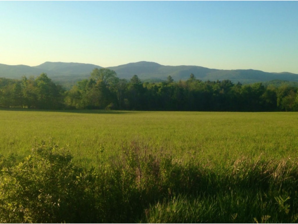 Tbd Cote Hill Road, Unit 4 Morristown, VT 05661 - Photo 9 of 13 Gallery Image 9