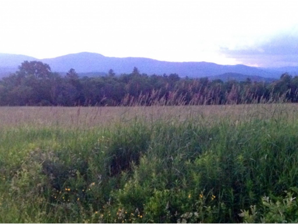 Tbd Cote Hill Road, Unit 4 Morristown, VT 05661 - Photo 10 of 13 Gallery Image 10