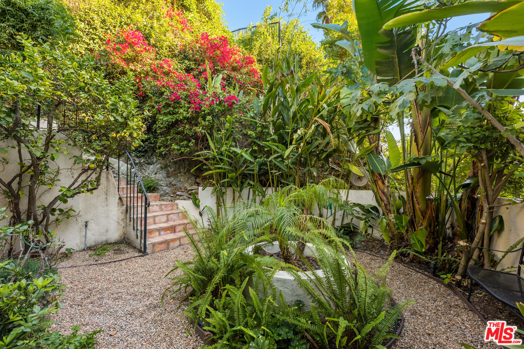 2120 Outpost Drive Los Angeles, CA 90068 - Photo 29 of 37 a backyard of a house with lots of green space