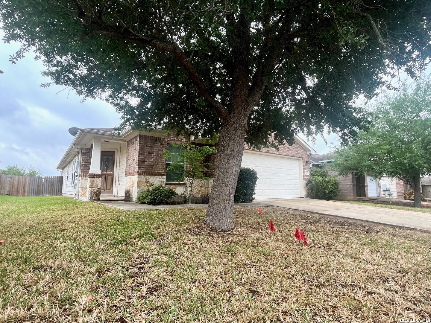225 Brahma Way Cibolo, TX 78108 - Photo 2 of 24 front view of a house with a yard