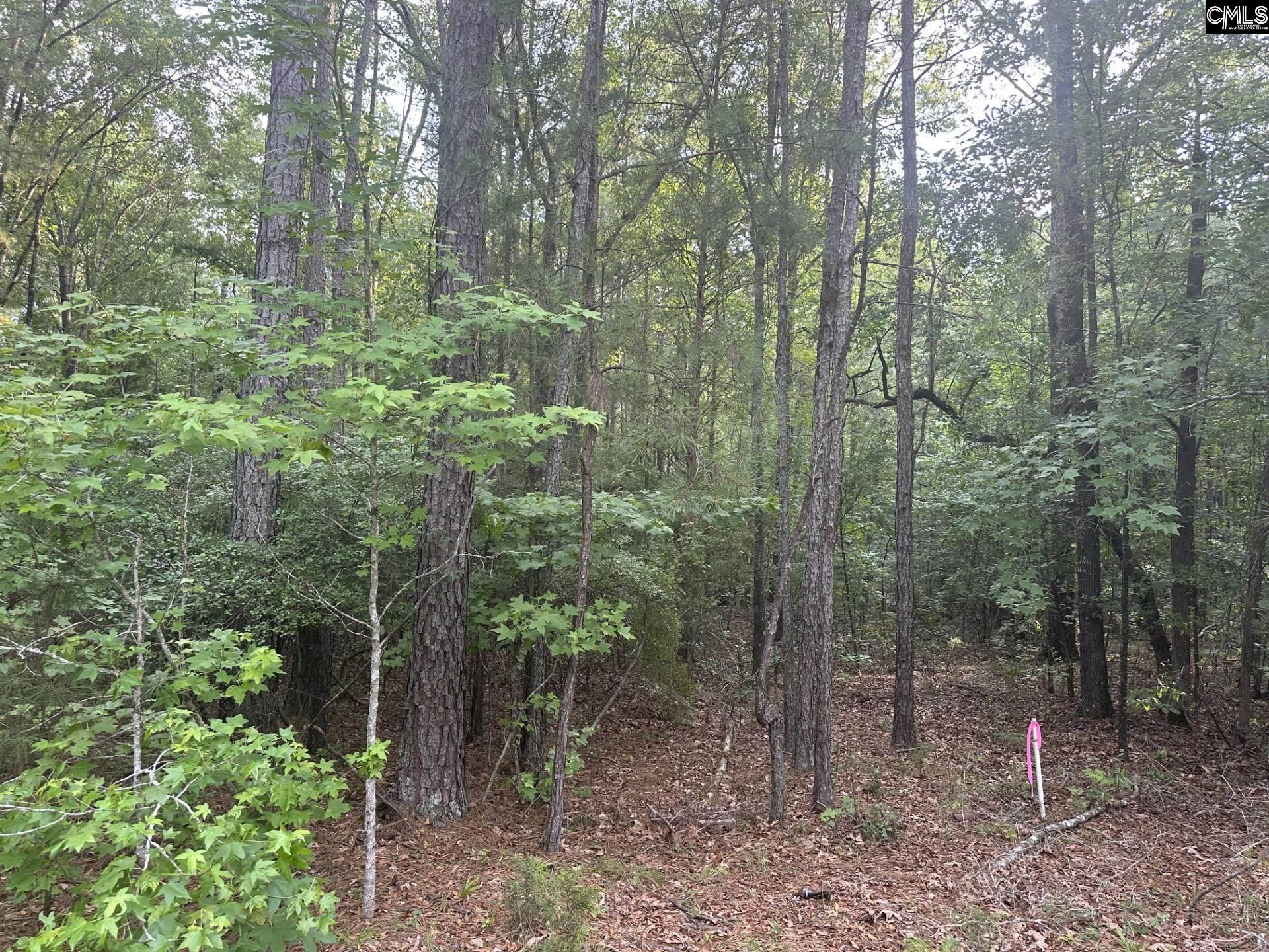 320 Dewdrop Drive Ridgeway, SC 29130 - Photo 3 of 6