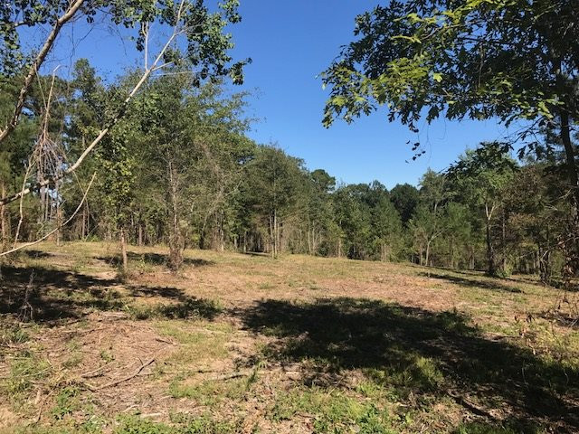 1 Andrew Chapel Road Brandon, MS 39042 - Photo 2 of 2 Photo 2