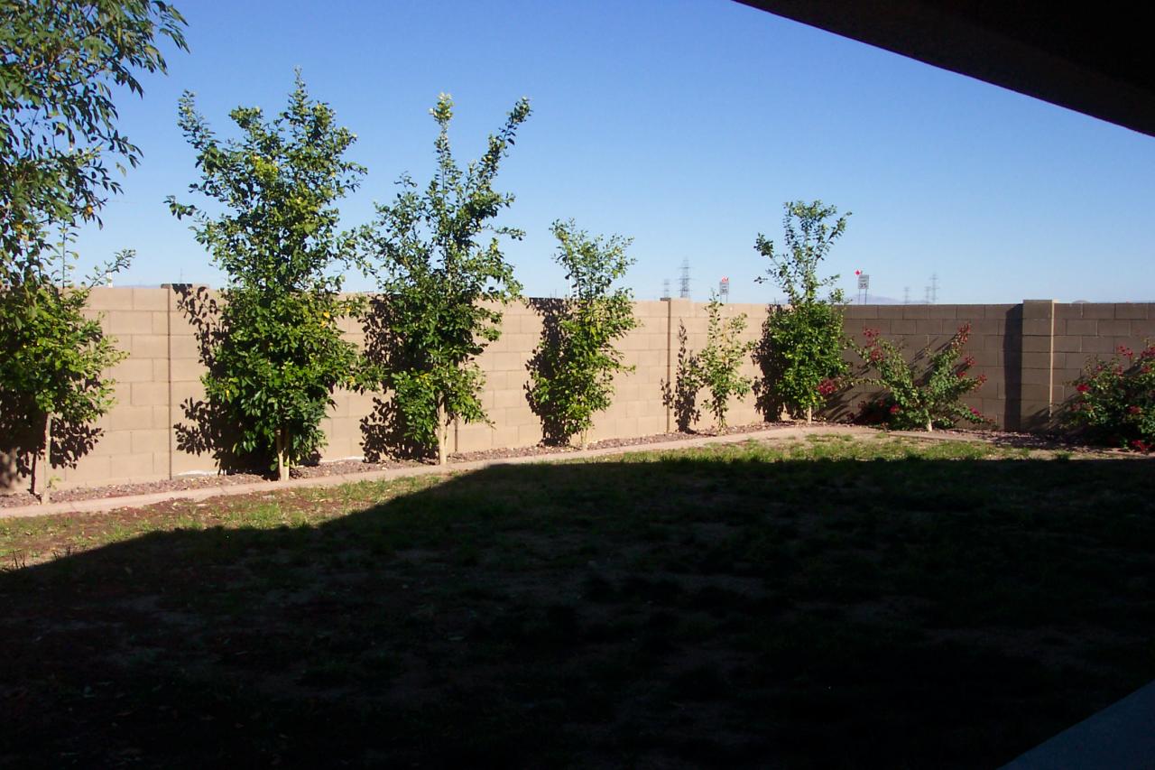 12084 West Dos Rios Drive Sun City, AZ 85375 - Photo 9 of 10 back yard