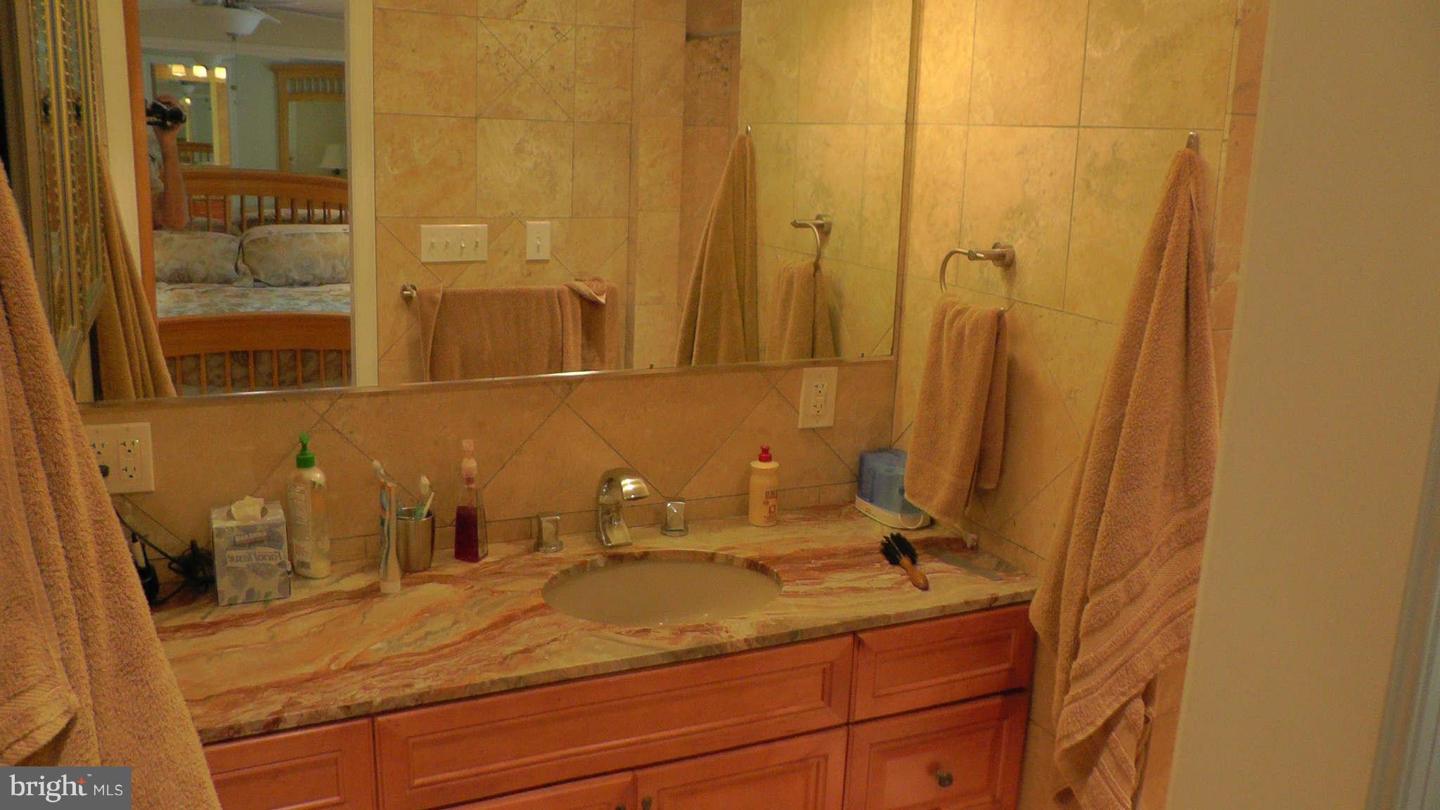 1202 Ednor Road Silver Spring, MD 20905 - Photo 20 of 30 Bath (Master)