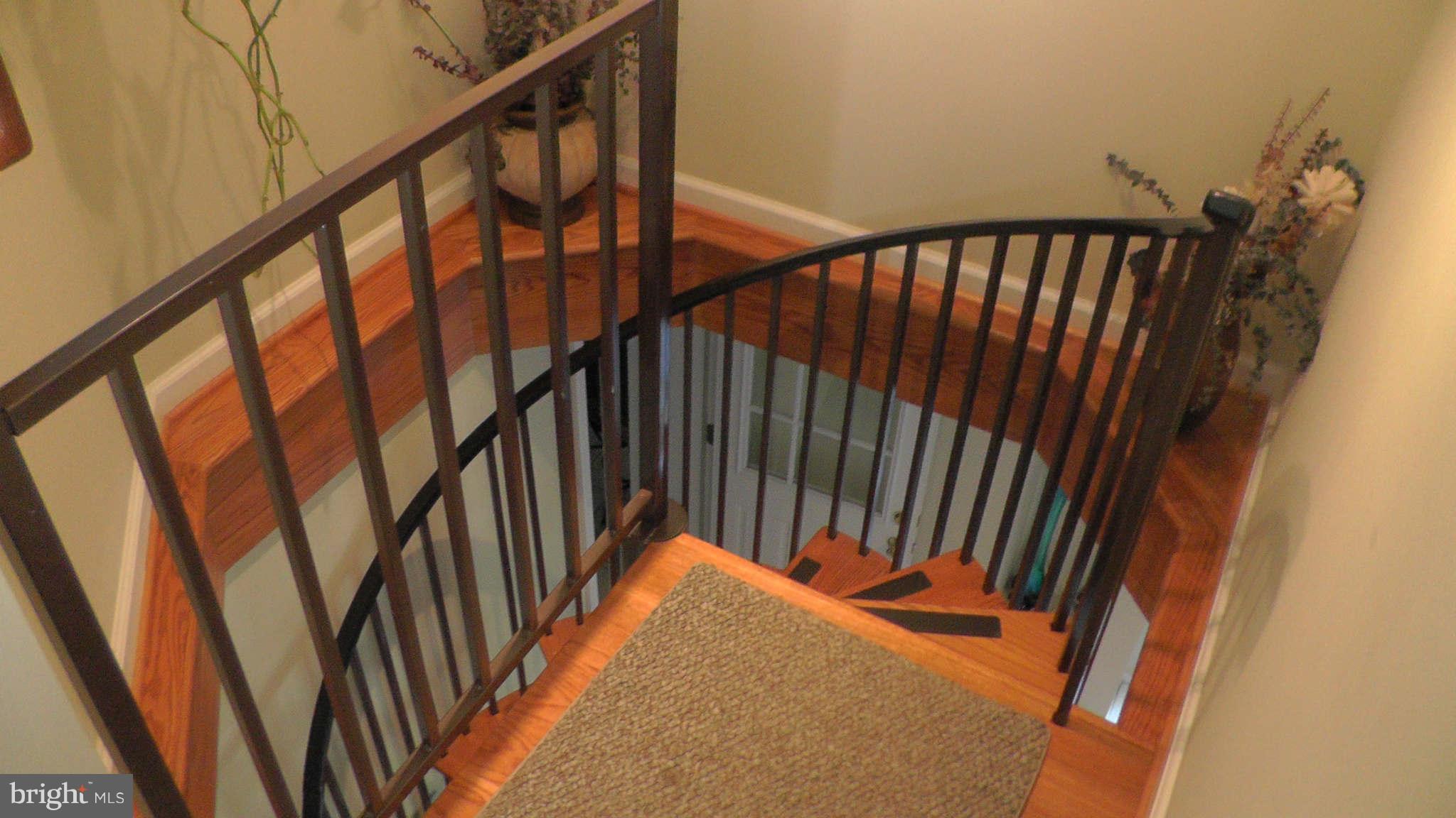 1202 Ednor Road Silver Spring, MD 20905 - Photo 6 of 30 Interior (General)