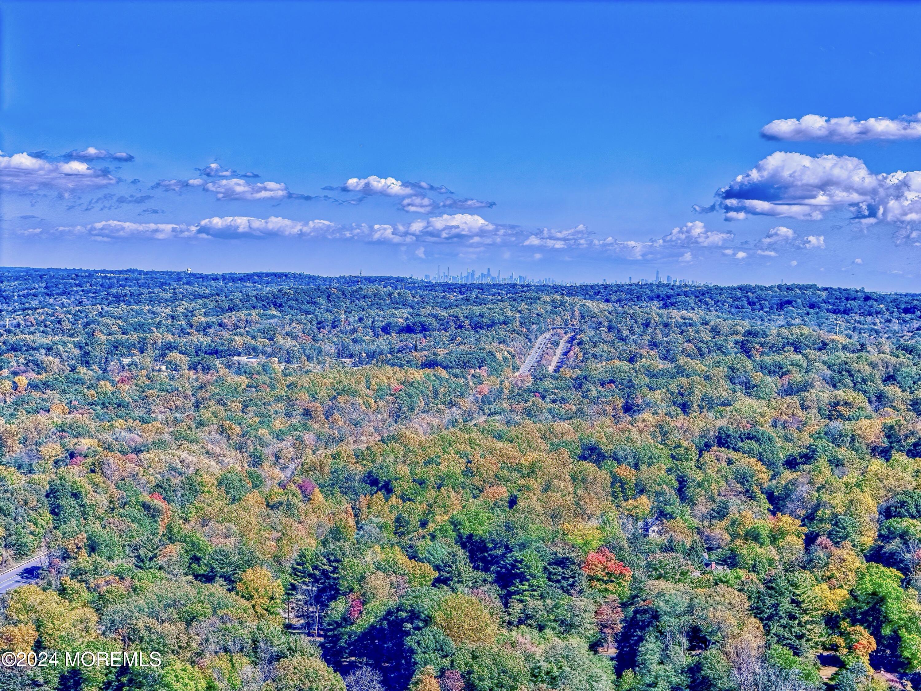 34 Saw Mill Road Warren, NJ 07059 - Photo 41 of 42 a view of a city with lots of flowers