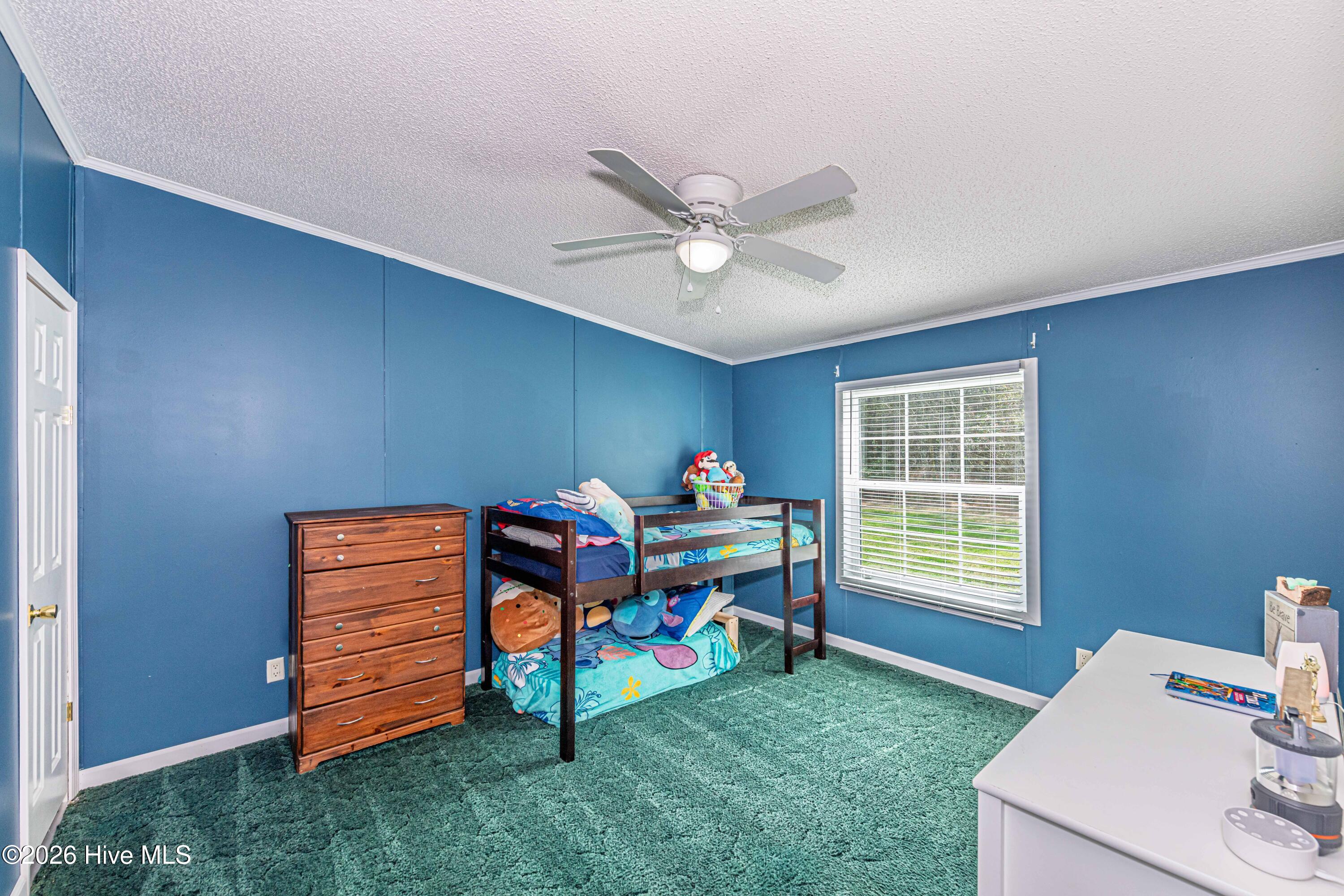 281 Dell Brock Road Beulaville, NC 28518 - Photo 21 of 34 3rd Bedroom