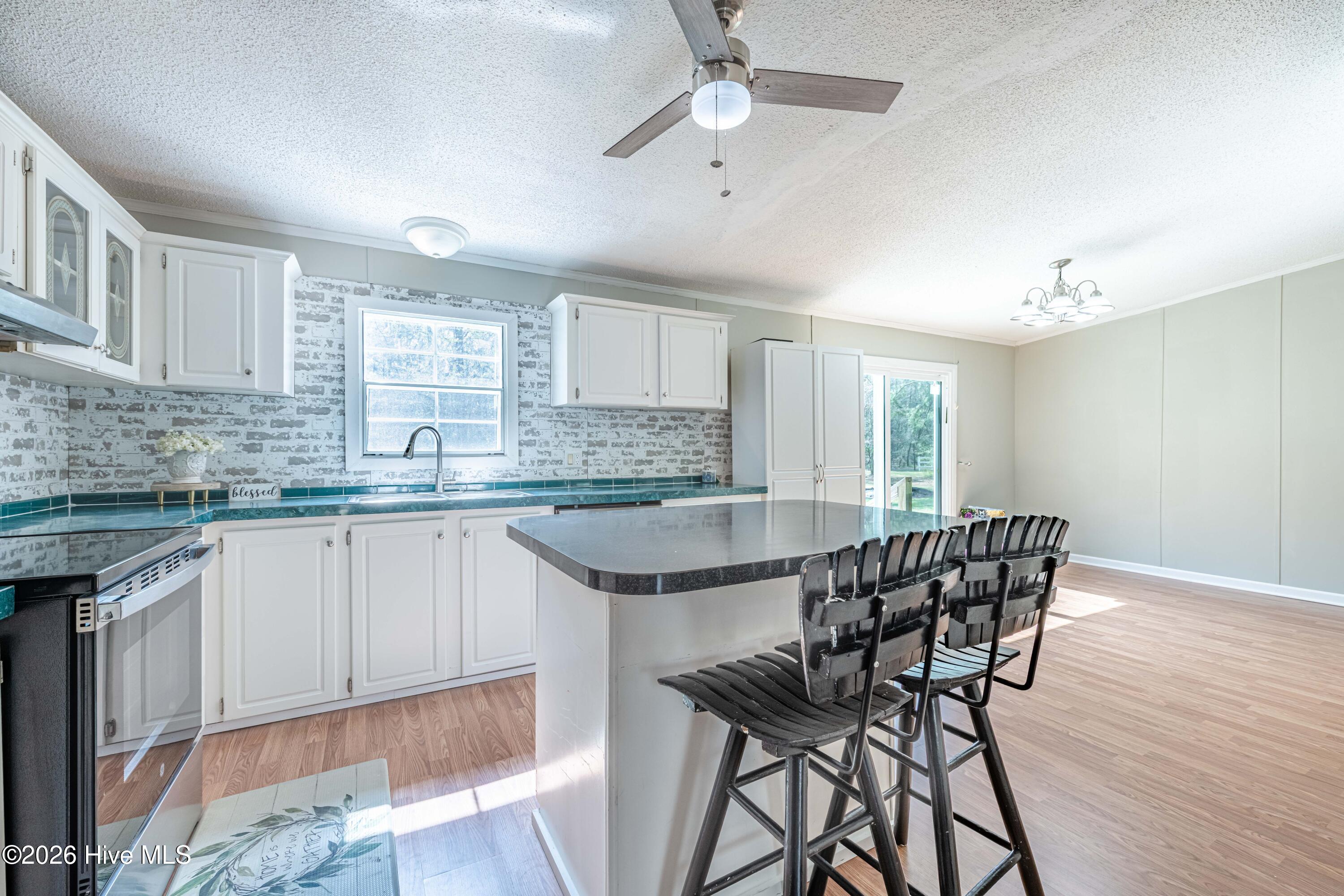 281 Dell Brock Road Beulaville, NC 28518 - Photo 9 of 34 Kitchen
