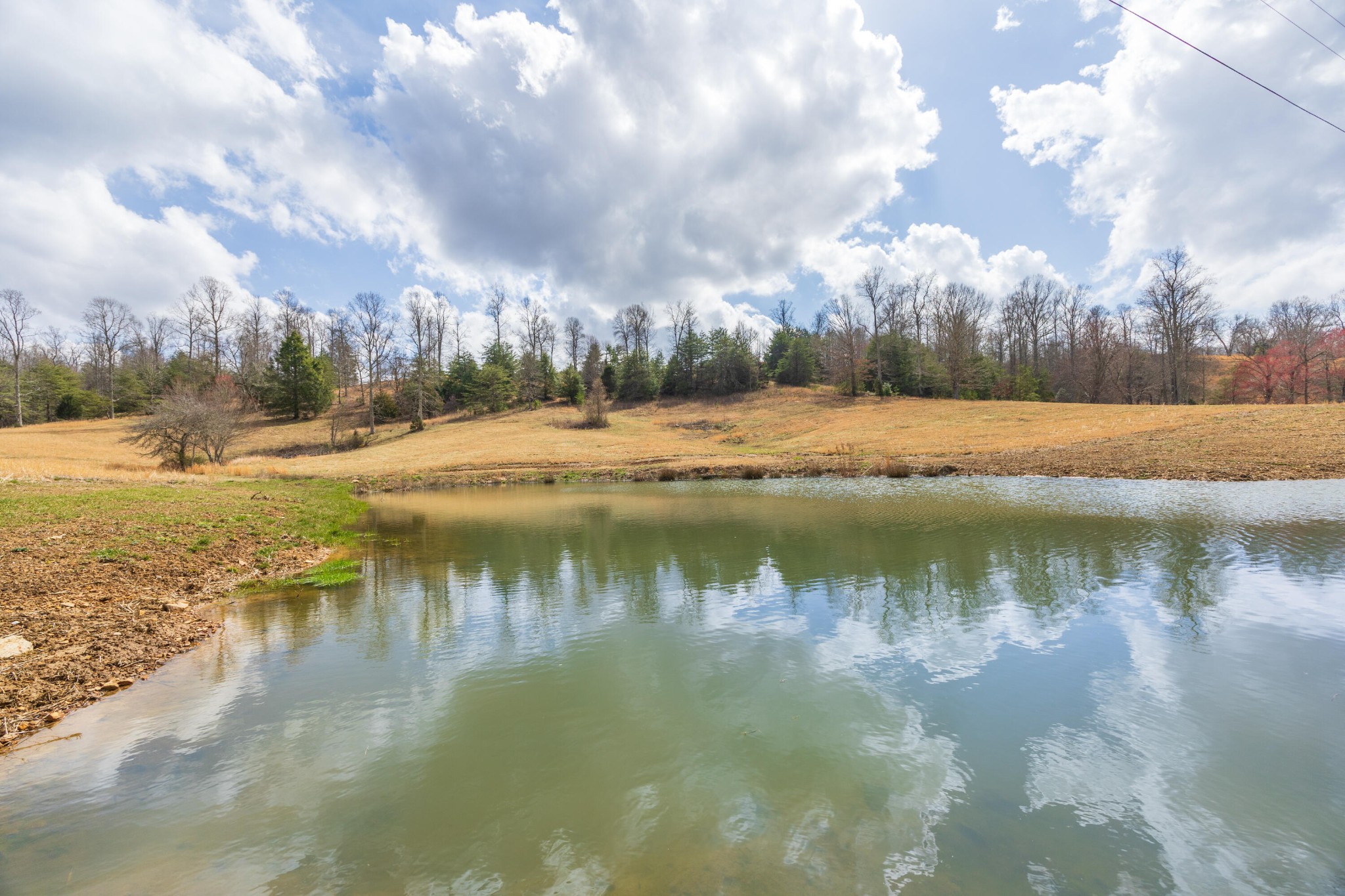 0 Old Dirt Road Graysville, TN 37338 - Photo 3 of 12 a view of lake with green space