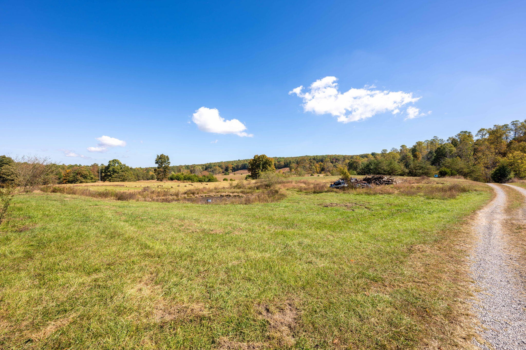 0 Old Dirt Road Graysville, TN 37338 - Photo 7 of 12 a view of a lake with houses