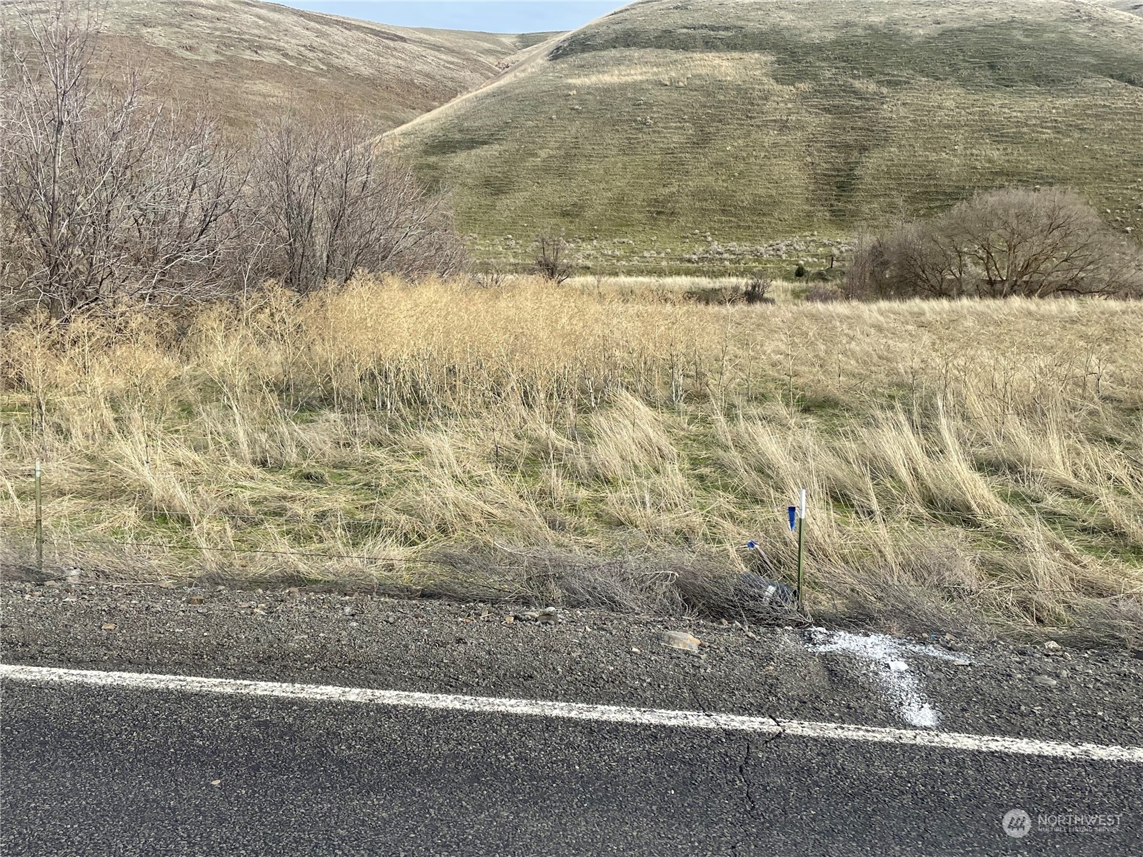 0 Kellogg Hollow Road Dayton, WA 99328 - Photo 1 of 2 a view of a yard