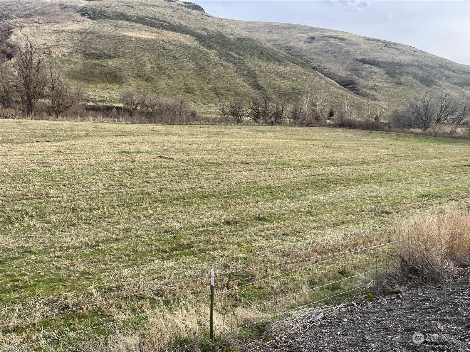 0 Kellogg Hollow Road Dayton, WA 99328 - Photo 2 of 2 a view of a field with an ocean view