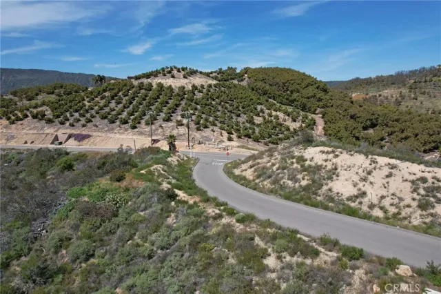 a view of a sky from a yard