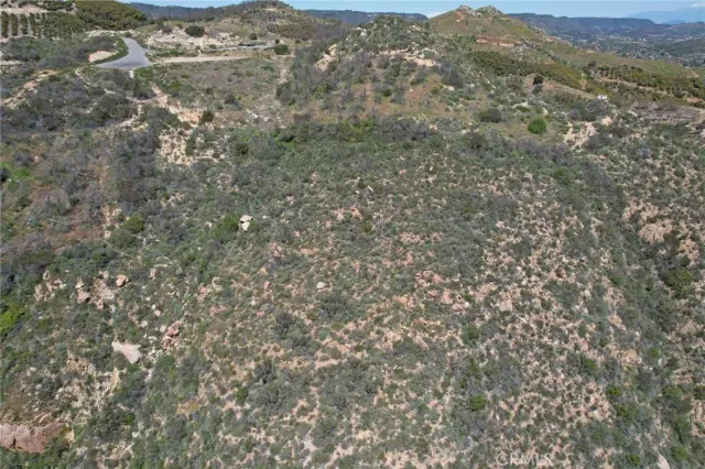 an aerial view of houses covered in trees
