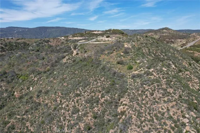 a view of a dry yard with large trees