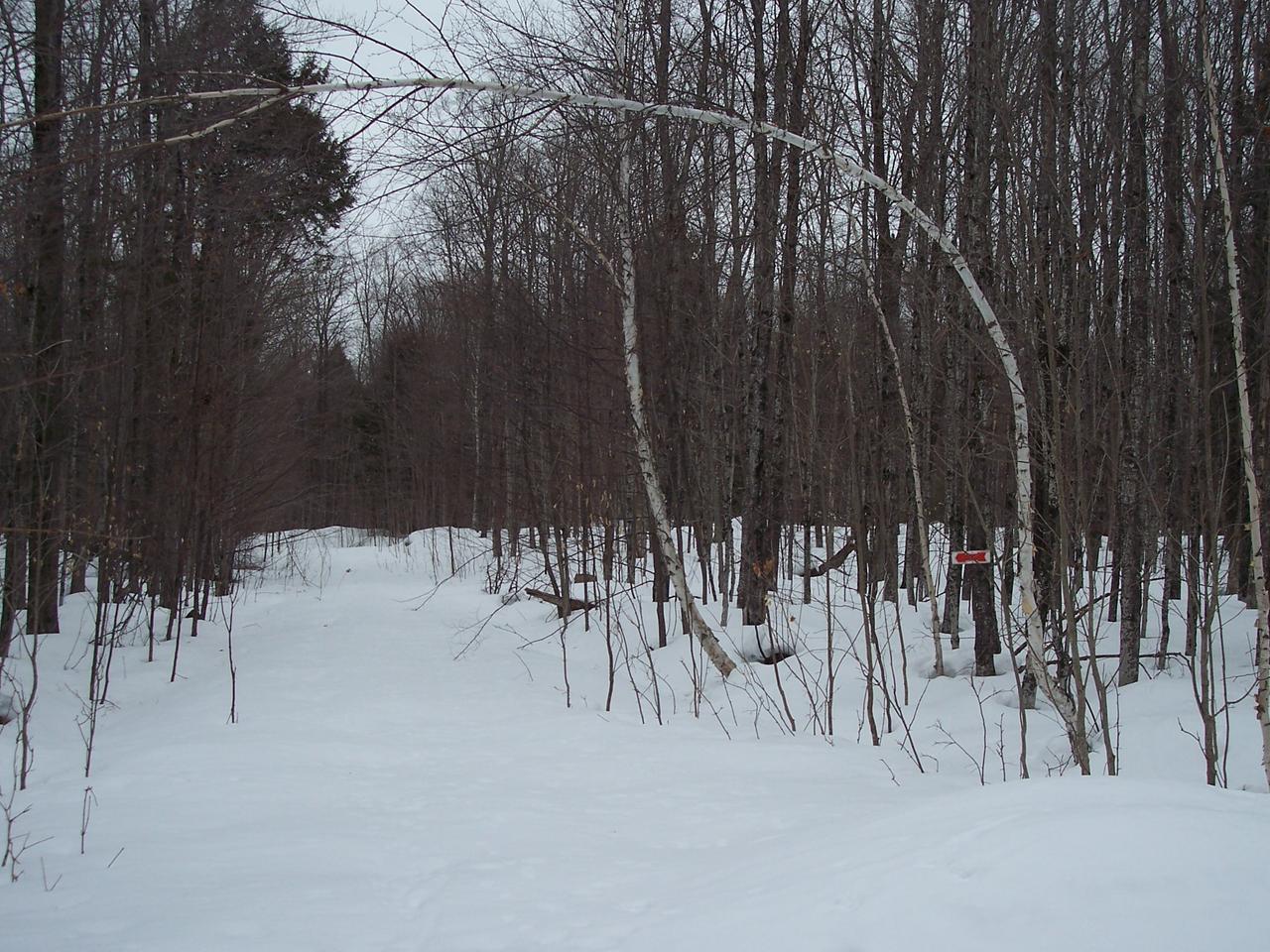 Tbd Tbd Shore Road Marenisco, MI 49947 - Photo 4 of 5 Gallery Image 4