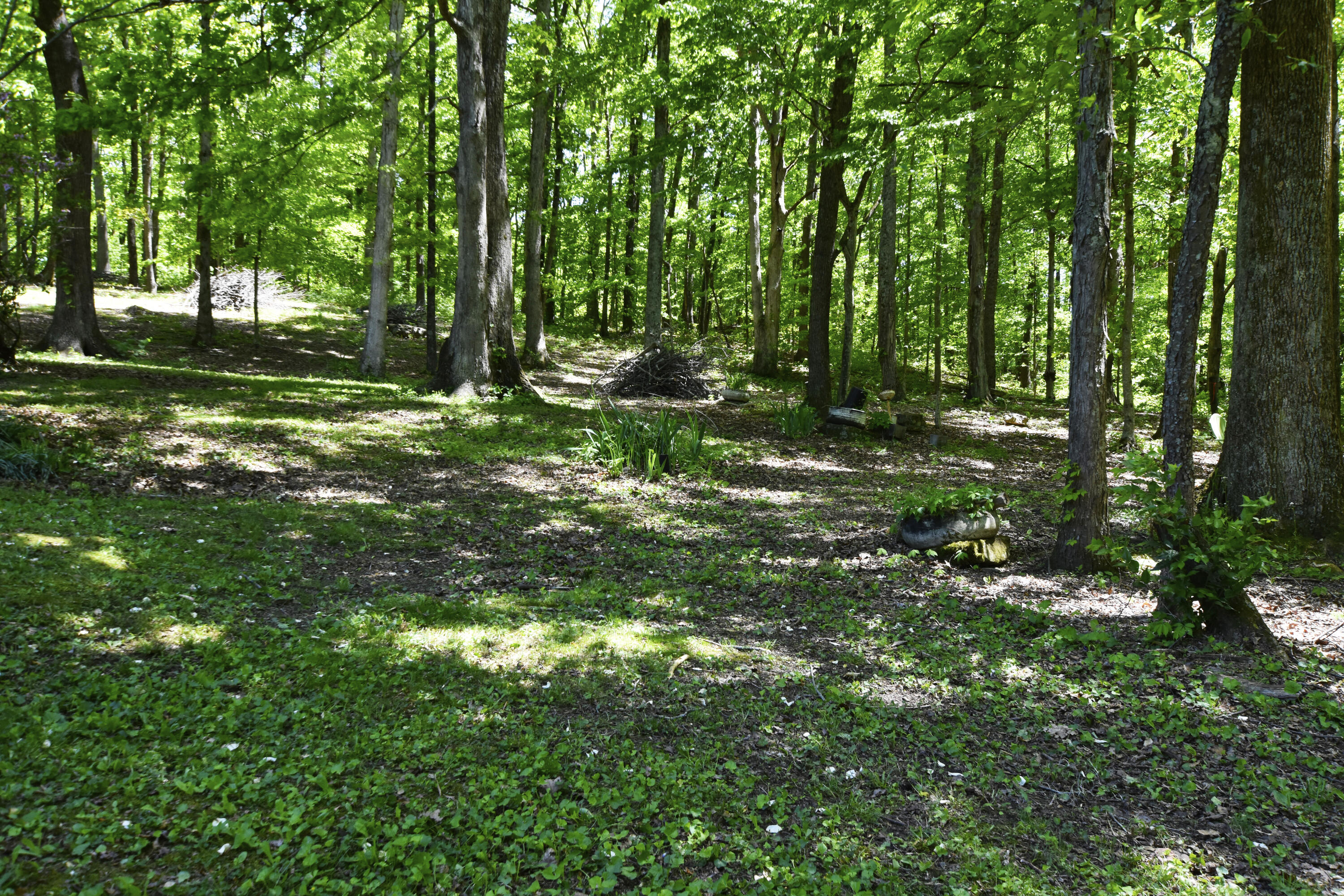 70 Robins Road Ravenna, KY 40472 - Photo 9 of 51 Fire Pit!