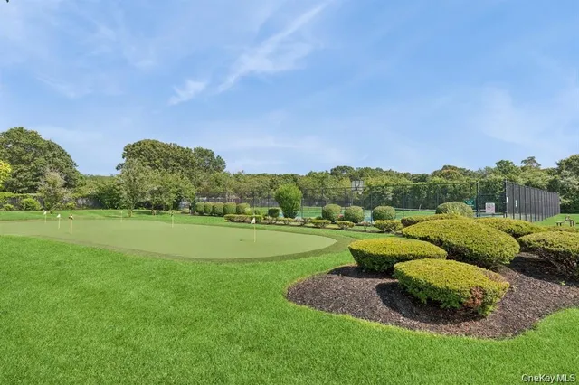 a view of a garden with an outdoor space