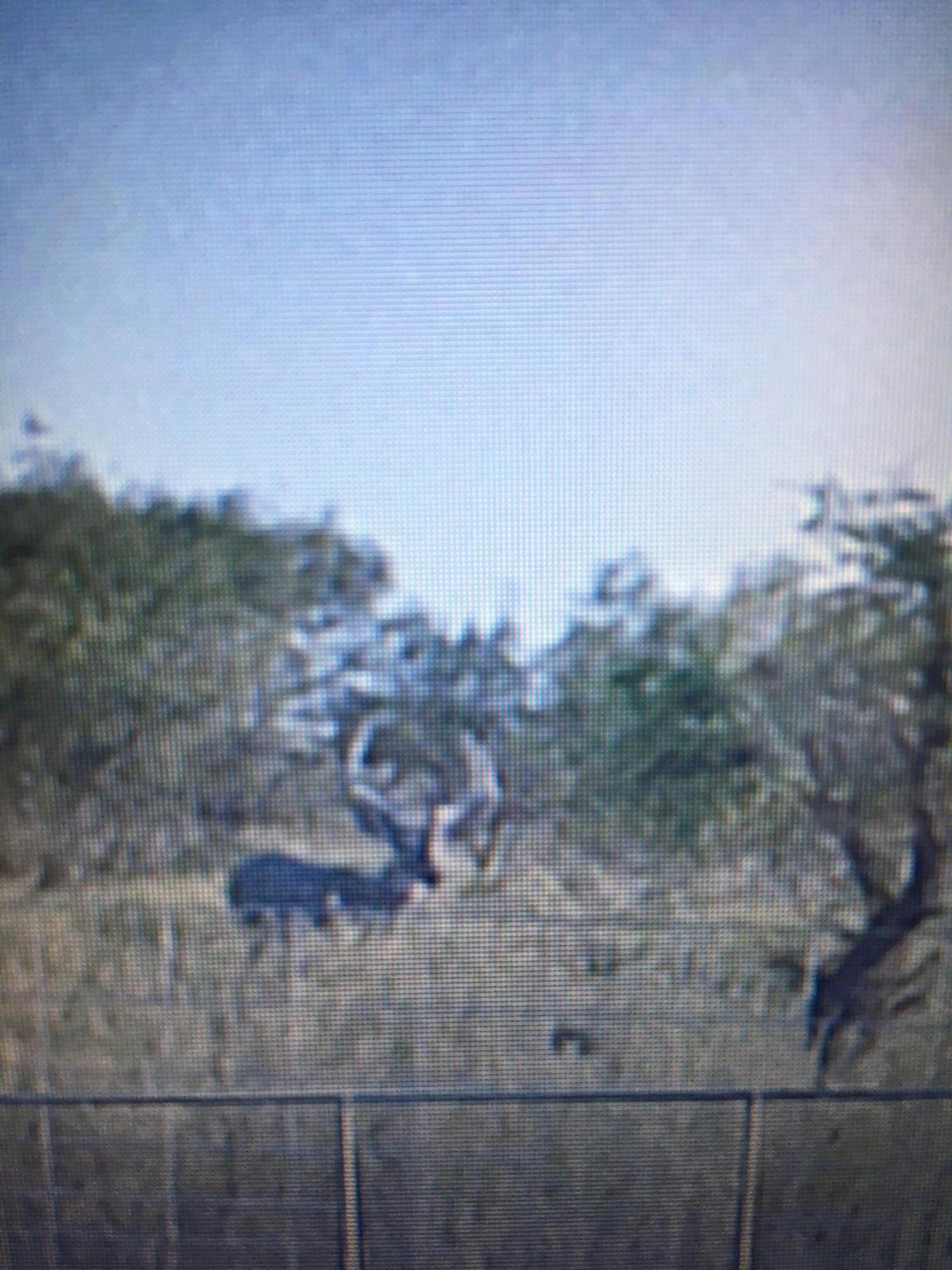 92 Texas Hamlin, TX 79520 - Photo 5 of 65 65343999190__AF4770AF-675A-4952-B9E0-740