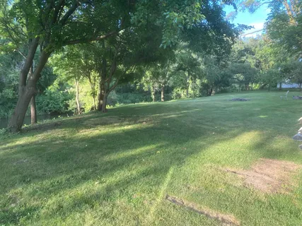 a view of a trees in a yard