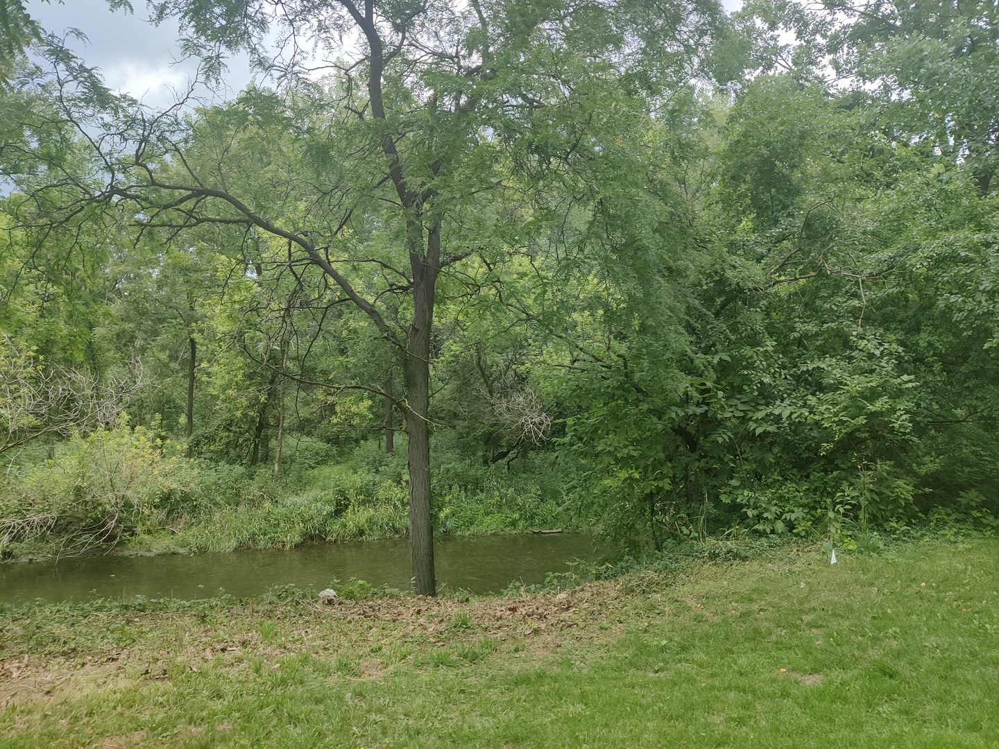 Vct Old Hickory Road New Lenox, IL 60451 - Photo 6 of 10 a view of a forest