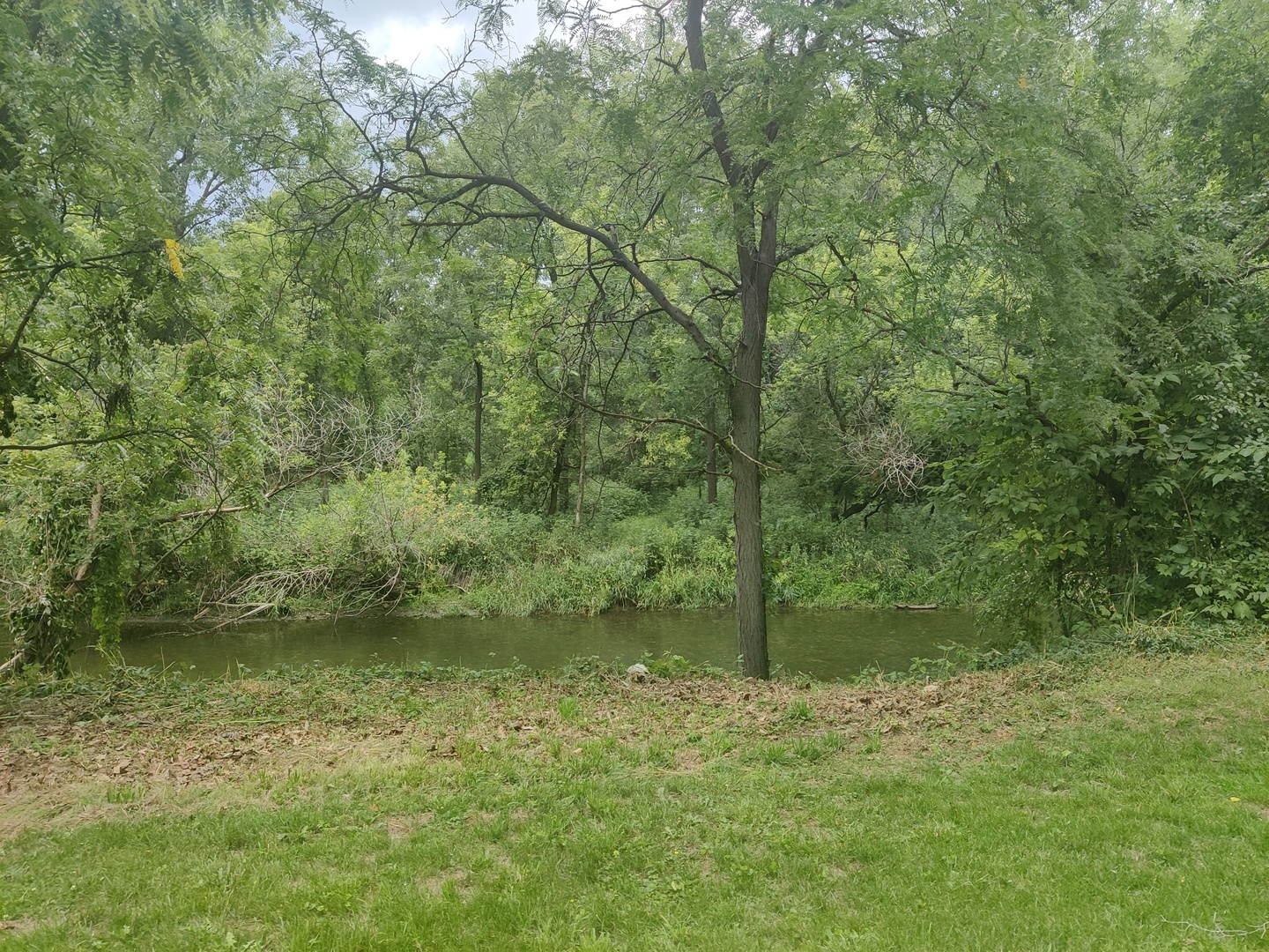 Vct Old Hickory Road New Lenox, IL 60451 - Photo 7 of 10 a view of a lush green forest