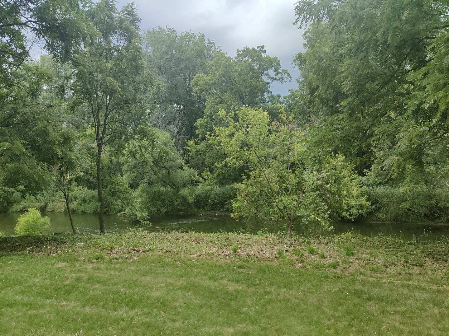 Vct Old Hickory Road New Lenox, IL 60451 - Photo 8 of 10 a view of a lush green forest
