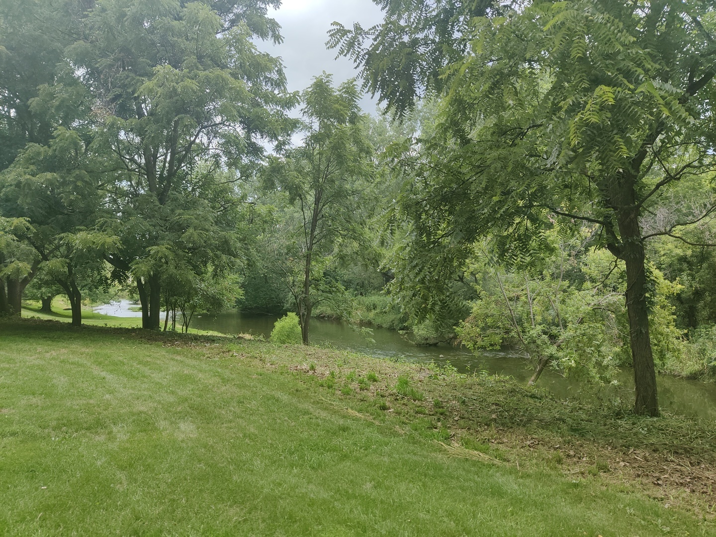 Vct Old Hickory Road New Lenox, IL 60451 - Photo 9 of 10 a big yard with lots of green space and trees