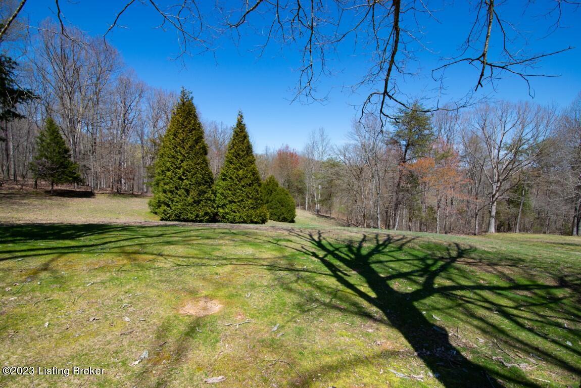292 Dennison Ferry Road Cub Run, KY 42729 - Photo 33 of 33 Dennison Ferry-20