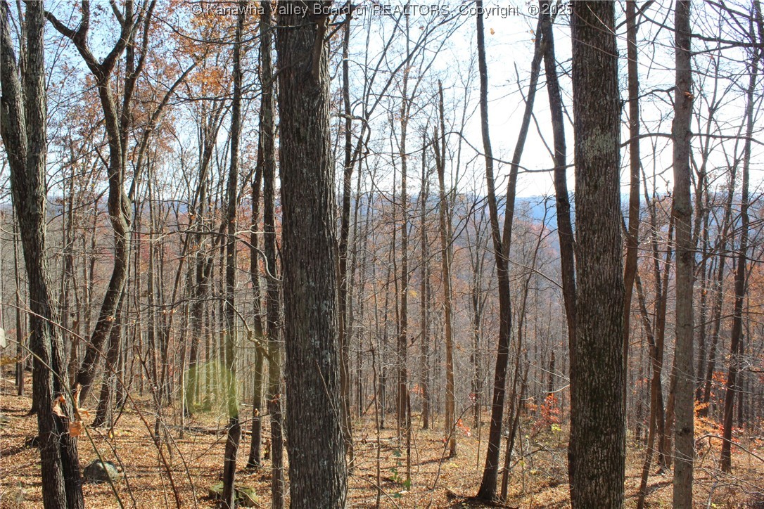558 Sears Run Road Chloe, WV 25235 - Photo 14 of 29 Gallery Image 14